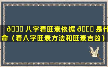 🐞 八字看旺衰依据 🕊 是什么命（看八字旺衰方法和旺衰吉凶）